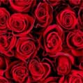ROSE EXTRACT