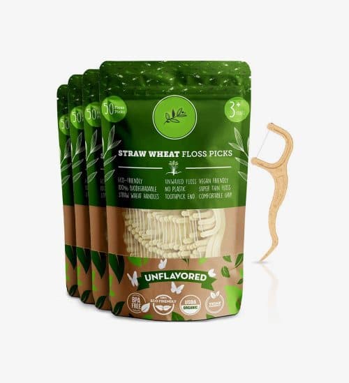 Biodegradable Dental Floss Picks